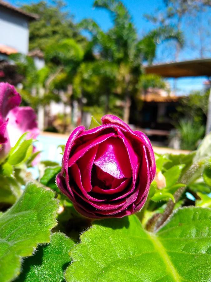 Jardim Secreto Guest House Armacao dos Buzios Ngoại thất bức ảnh